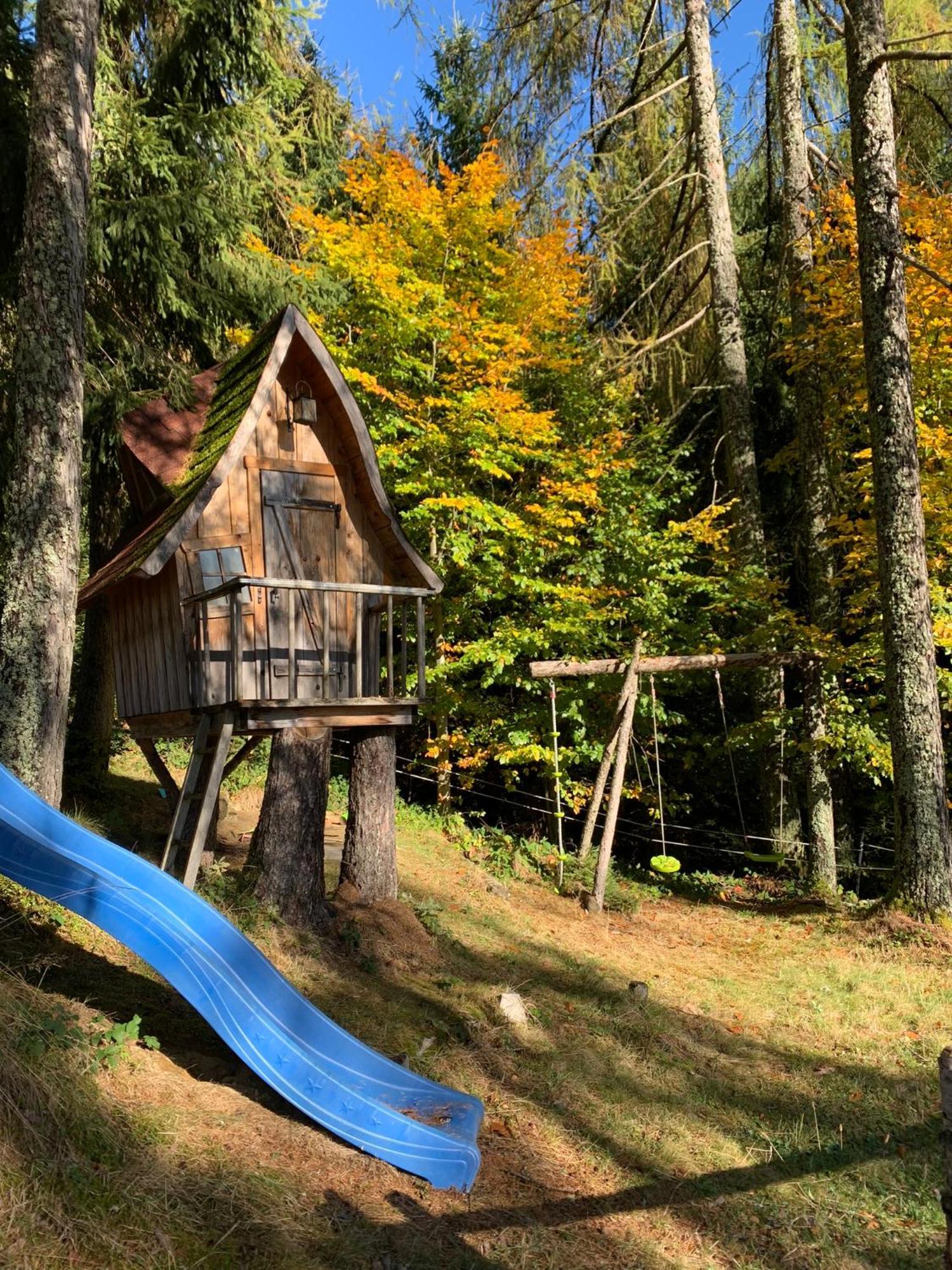 Ferienwohnung Kreitalm Neukirchen  Exterior foto